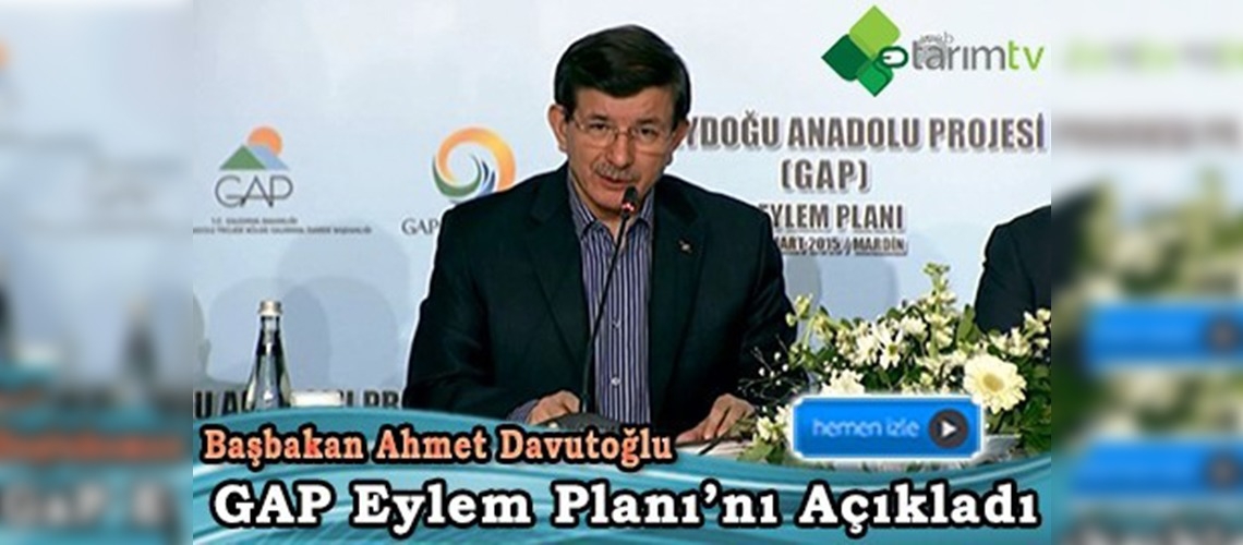 Yeni GAP Eylem Planı 5 ana eksenden oluşuyor