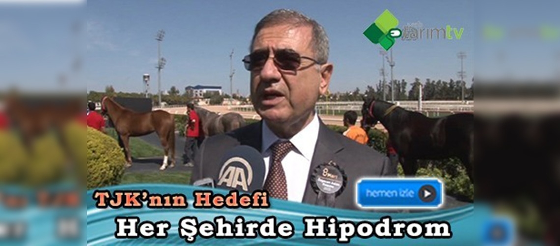 TJK'nın hedefi her şehre bir hipodrom 