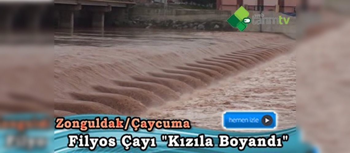 Çay Yatağına Kayan Toprakların Su Rengini Değiştirdiği Tahmin Ediliyor