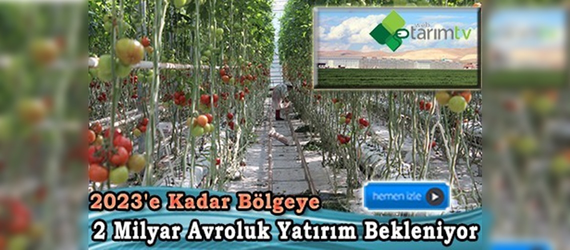 Güneydoğu'da jeotermal seracılık yaygınlaşıyor