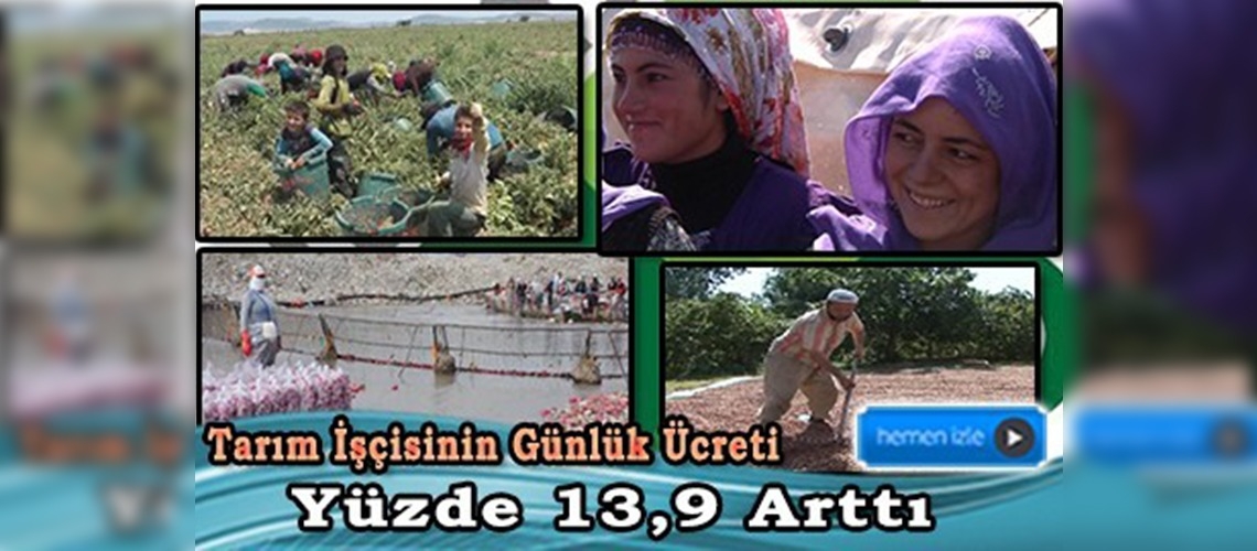TÜİK Tarımsal İşletmelerde Ücret Yapısı istatistiklerini açıkladı