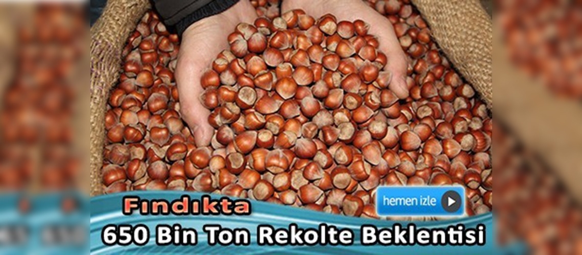 FİSKOBİRLİK'ten fındık rekolte açıklaması