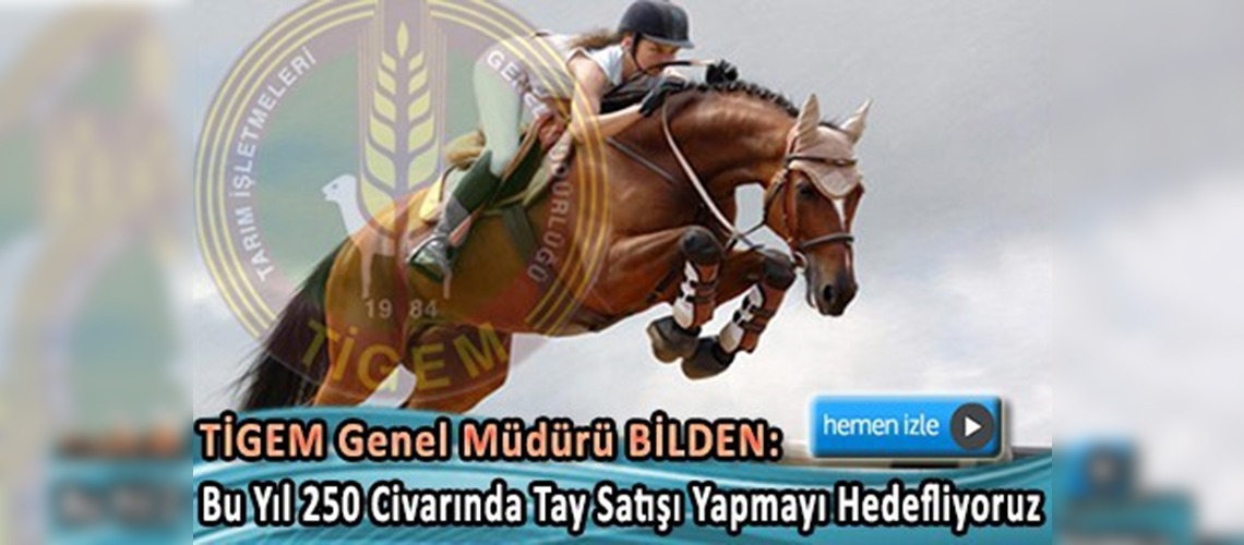 TİGEM'den ''konkur atı'' üretme müjdesi