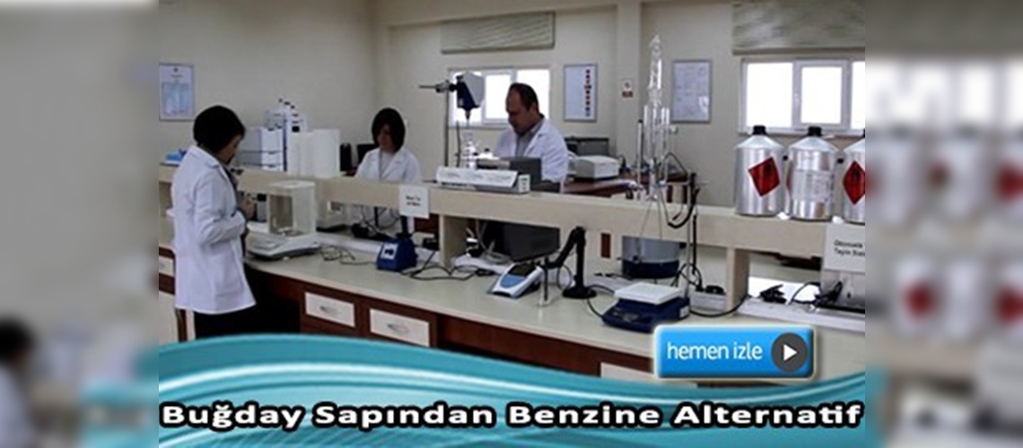 Bir Ton Buğday Sapından 221 Litre Biyoetanol Üretilebiliyor