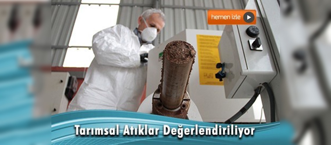 Tarımsal atıkların kalori değeri yüksek çıktı