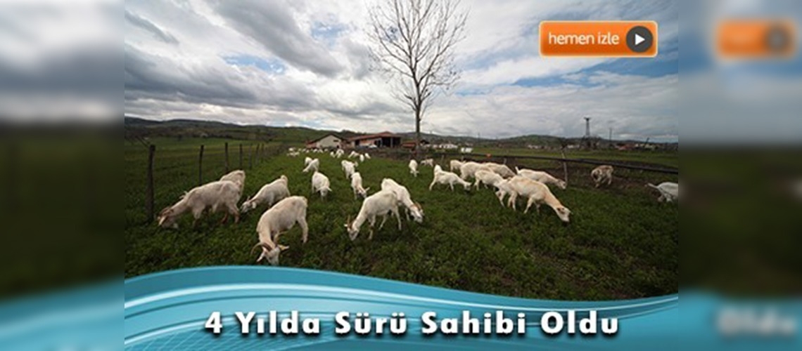 Tuğla fabrikasını keçi ağılı yaptı 