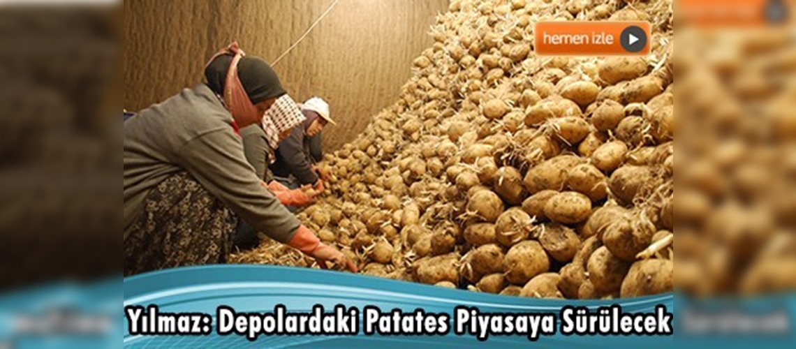 Nevşehir'de depolarda 20 bin ton patates var