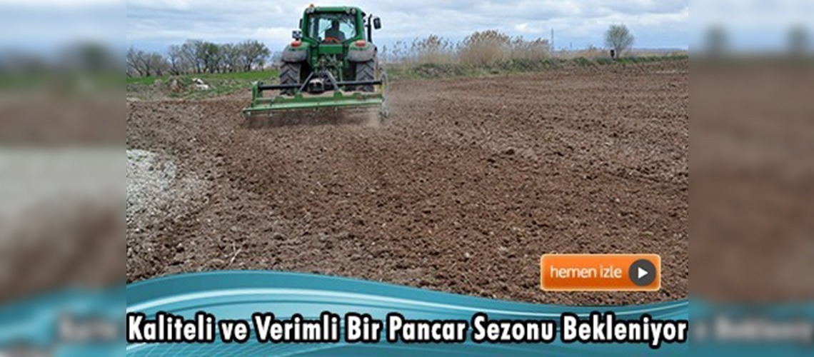 Yağışlar pancar üreticilerinin yüzünü güldürdü 