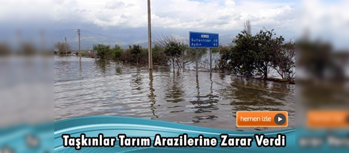 Aydın'da hasar tespit çalışmaları başladı