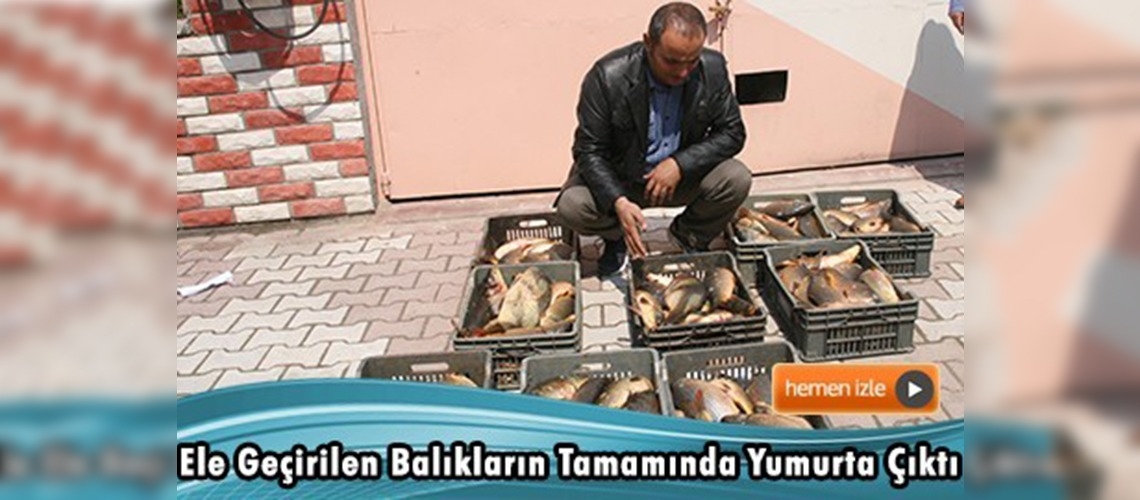 Yozgat'ta kaçak balıkçılara göz açtırılmıyor