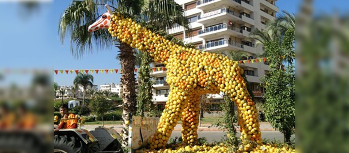 Mersin narenciyeyle renkleniyor