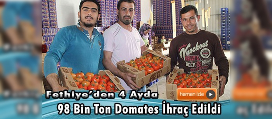 Domates çiftçinin yüzünü güldürdü