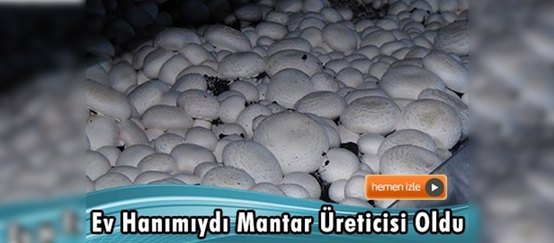 Kahramanmaraş'ta bir başarı hikayesi