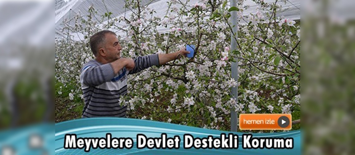 Elma bahçesi ''dolusavar'' la korunuyor