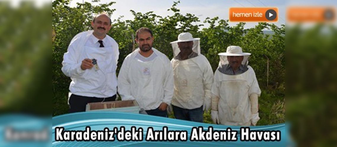 Rezistanslı ısıtma sayesinde arılar kuluçka döneminde üşümüyor