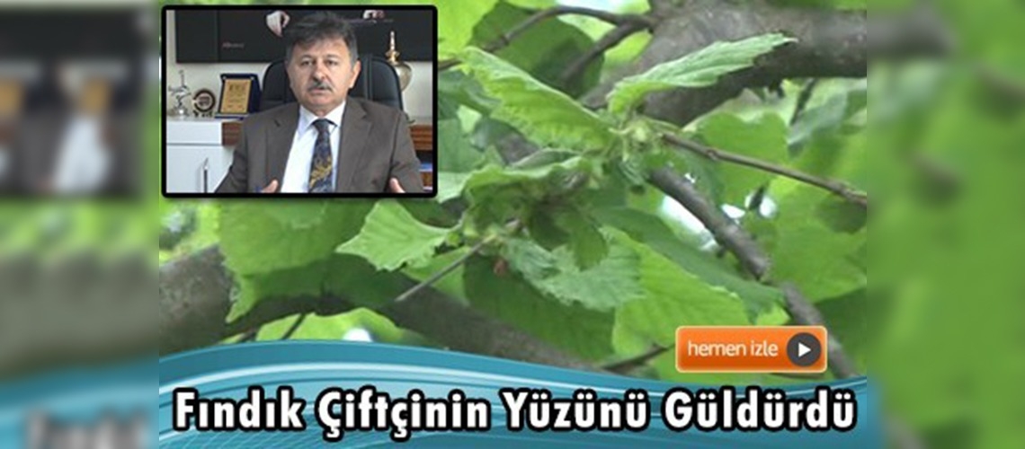 Bu Yıl Yeşil Altında Yüksek Rekolte Bekleniyor