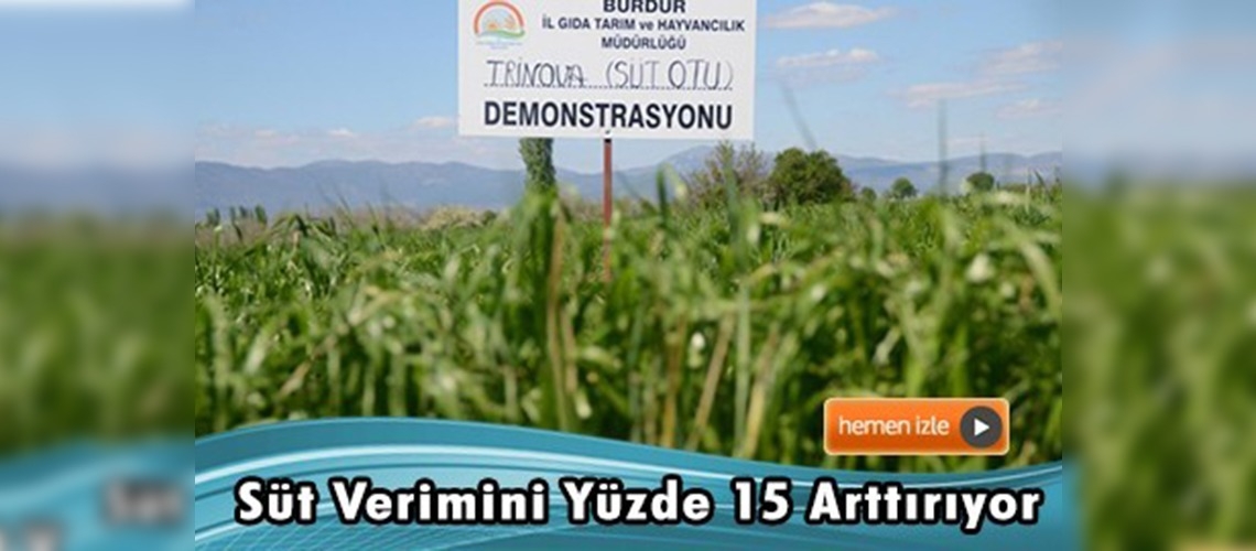 Burdur'da süt otu bitkisi tanıtıldı