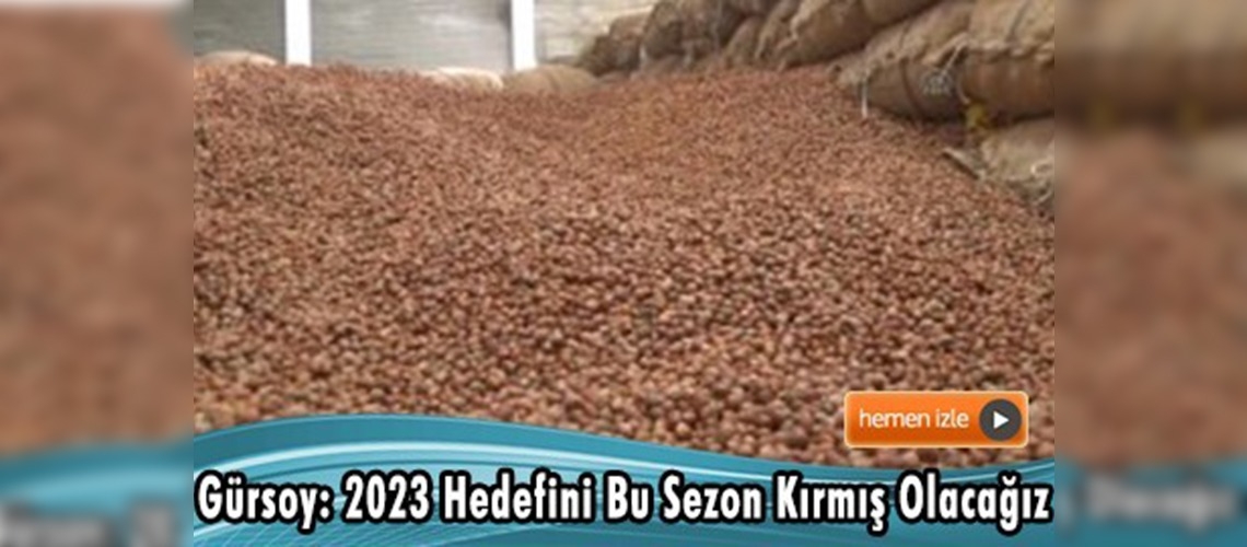 Fındık ihracatında yüzler gülüyor