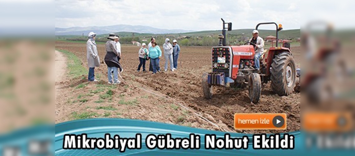 Kırıkkale'de mikrobiyal gübre ile nohut ekildi