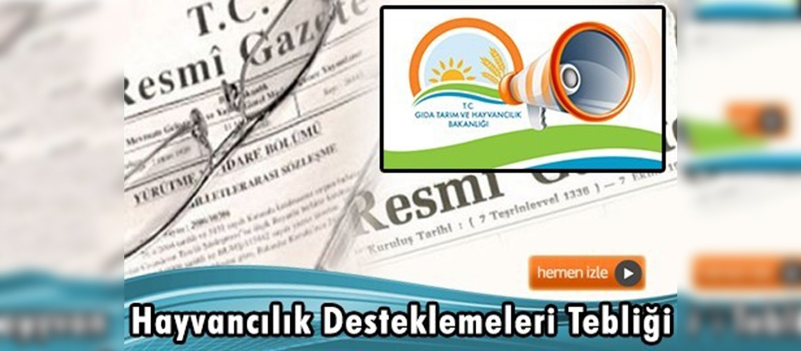 Koyun ve keçi yetiştiricileri de desteklemeden faydalanacak