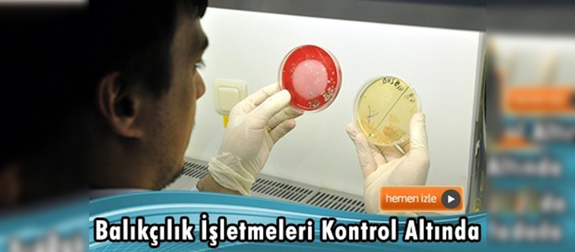 Bakanlığın yetkilendirdiği Uludağ Üniversitesi balıkçılık işletmelerini denetliyor