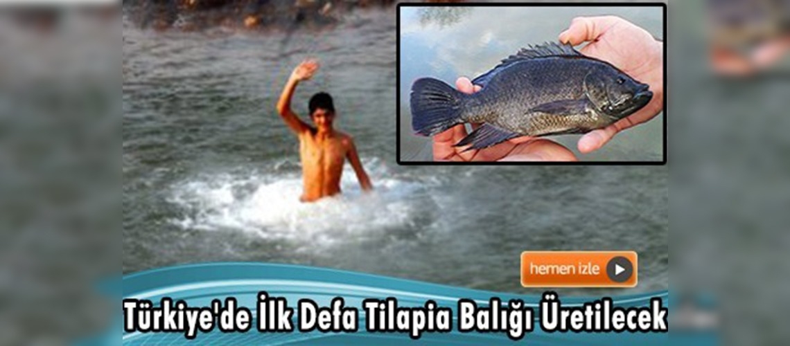 Kaplıca suyunda balık