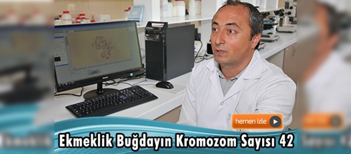 DR. KARAOĞLU: KAMUOYUNDA ÇOK FAZLA BİLGİ KİRLİLİĞİ VAR