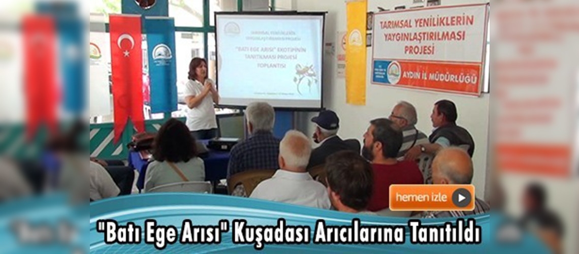 Aydın'da Arıcılara 20 Adet Ana Arı Dağıtıldı