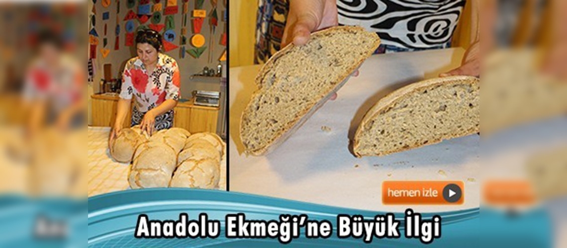 Organik buğdaydan ''Anadolu Ekmeği''