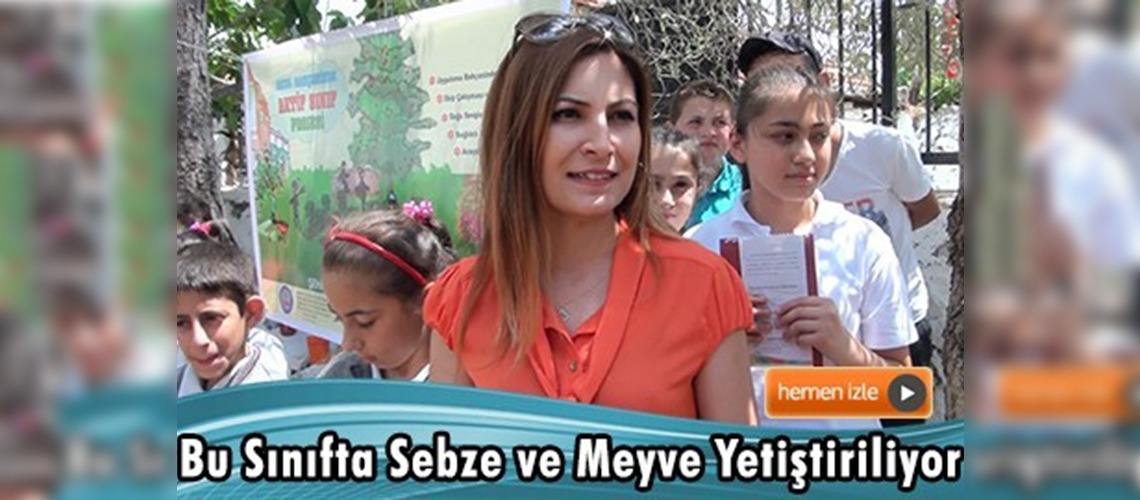 Okul Bahçesinde Aktif Sınıf Projesi