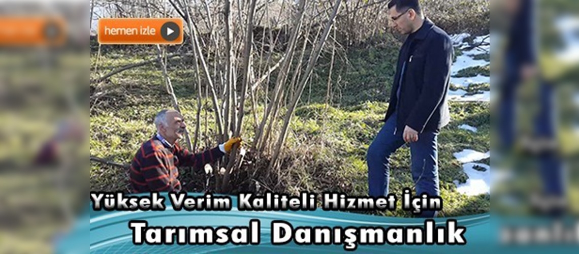 Fındıklar tarım danışmanlarına emanet