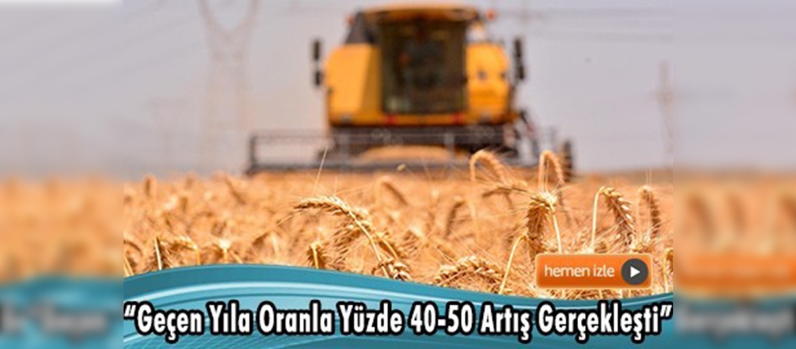 Çukurova'da hububat üreticisinin yüzü güldü