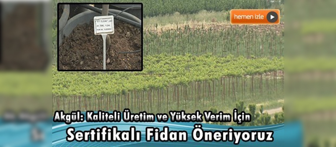 Sertifikalı fidan kullanmak neden önemli?