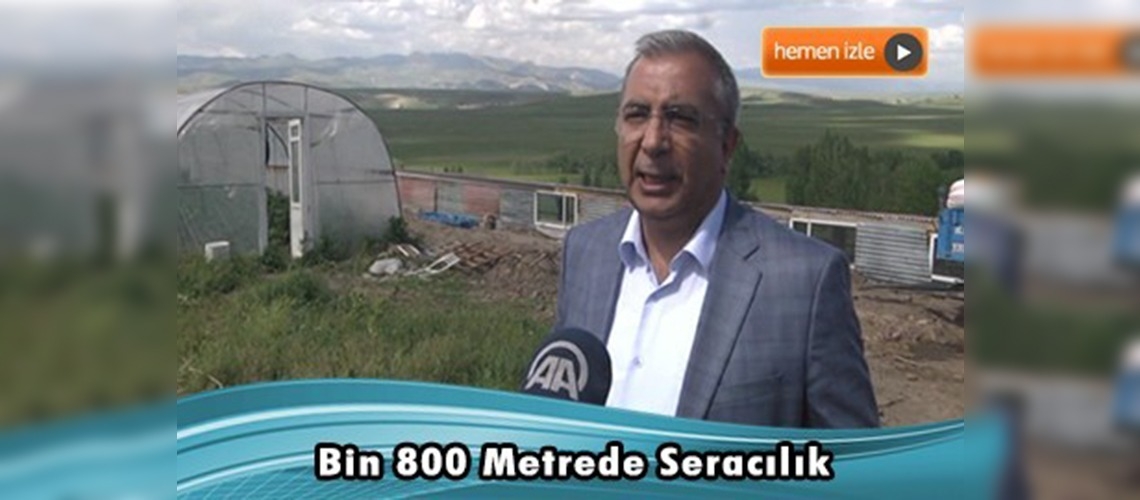 Erzurumlu kadınlar bin 800 metrede seracılık yapıyor