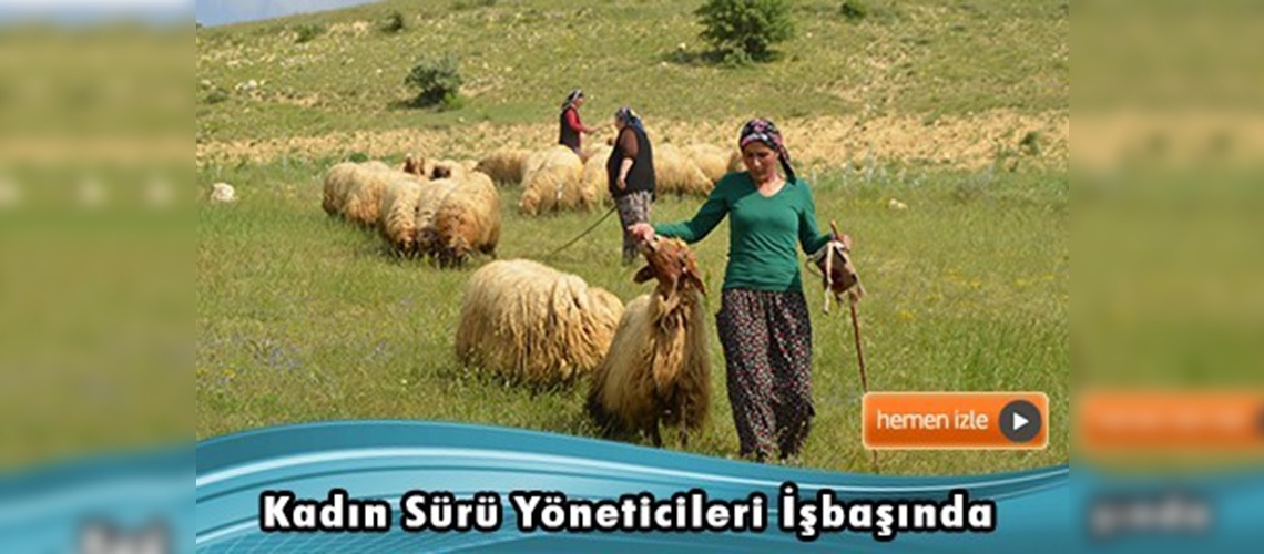 Malatya'da sertifikalı kadın sürü yöneticileri