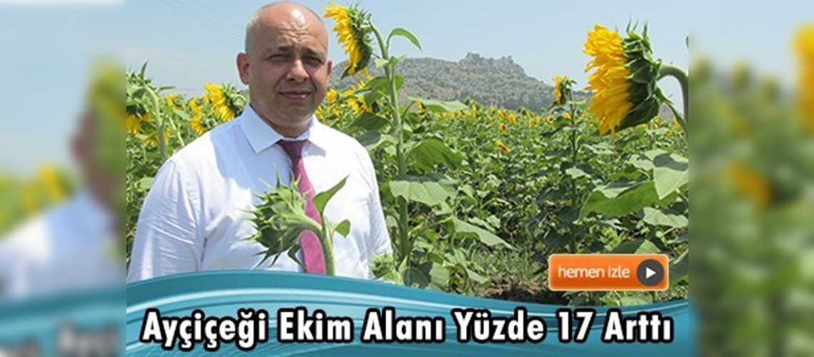 Çukurova ''sarı''ya büründü