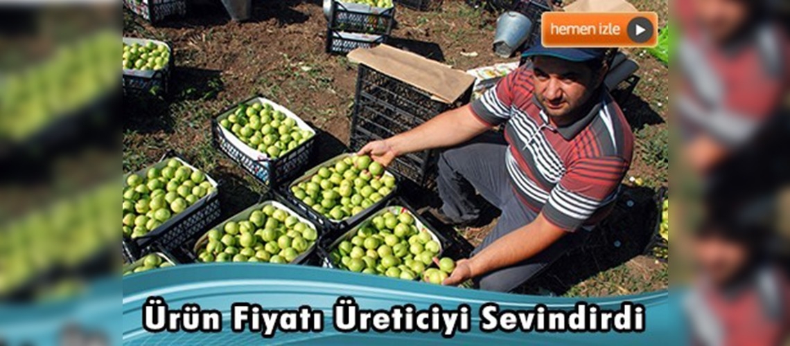 ''Bayramiç beyazı'' üreticinin yüzünü güldürdü  