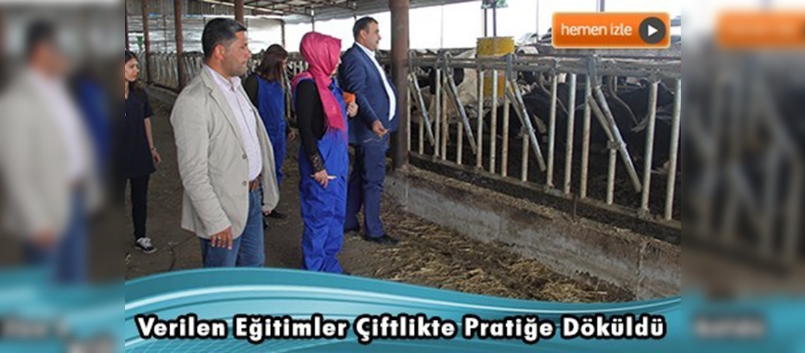 Damızlık Sığır Yetiştiricileri Birliği eğitimleri sürüyor