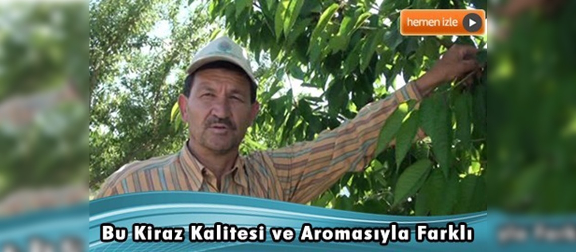 Manisa'nın Demirci ilçesi kiraz ihracatını 10 bin tona çıkarmayı planlıyor 