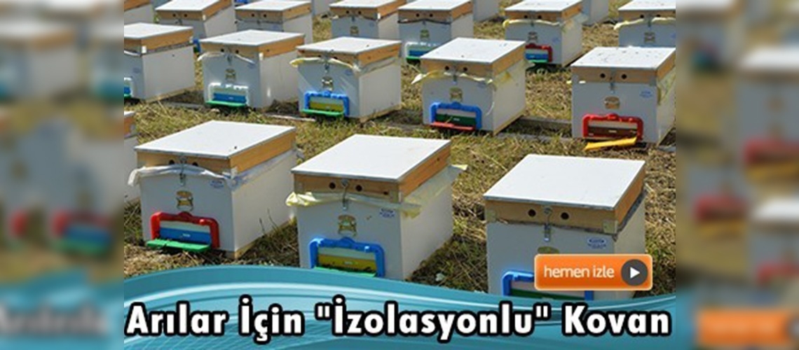 Arılar için ''izolasyonlu'' kovan 