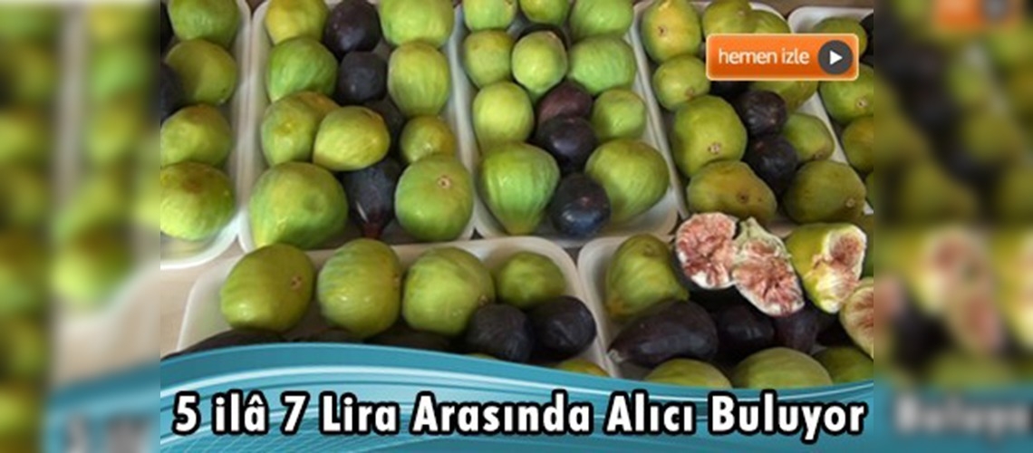 ''Erkenci incir'' tezgahlarda