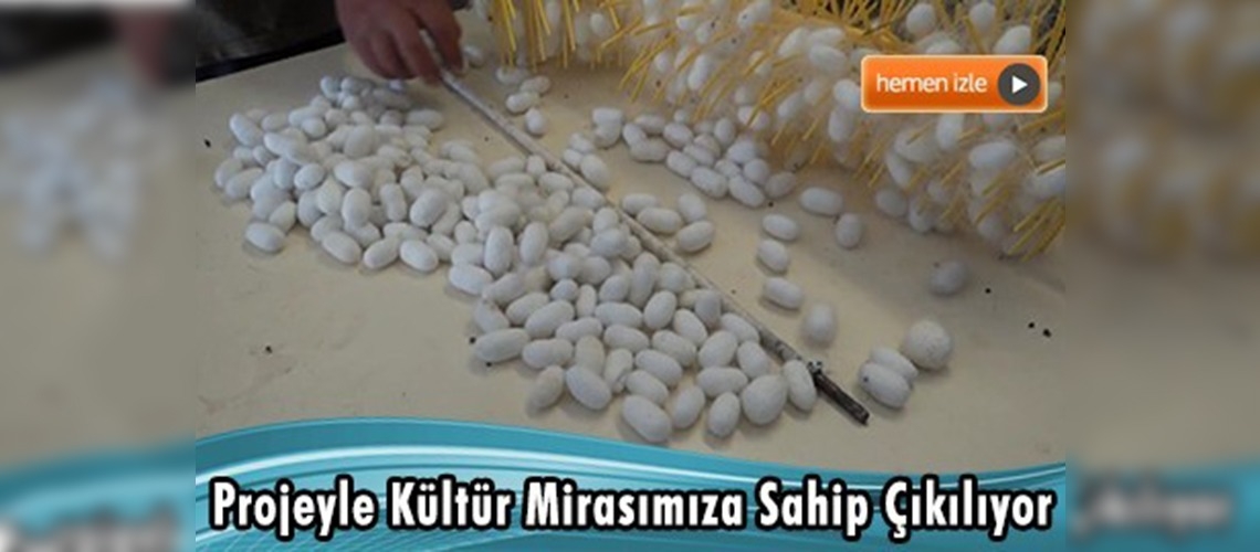 ''İpekböcekçiliğinin Canlandırılması Projesi''