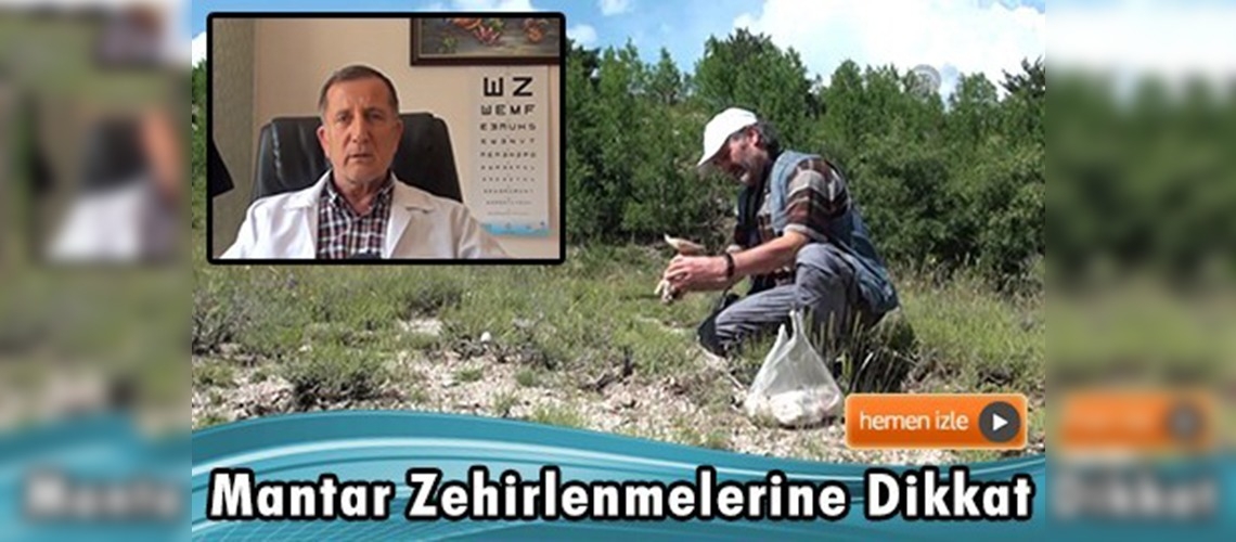 Zehirli olmayan mantar zehirli hale gelebiliyor