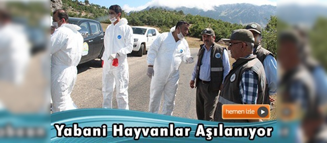 Kahramanmaraş'ta kuduza karşı aşılama