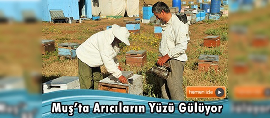 Üretime açılan yaylalar arıcıların da yüzünü güldürdü