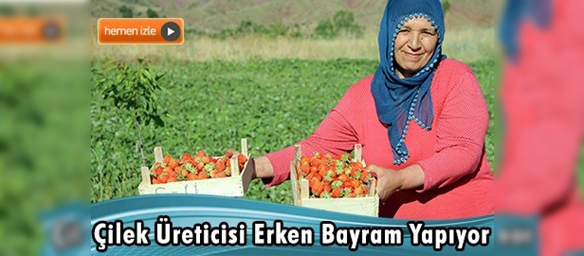 Çilek üreticisi erken bayram yapıyor