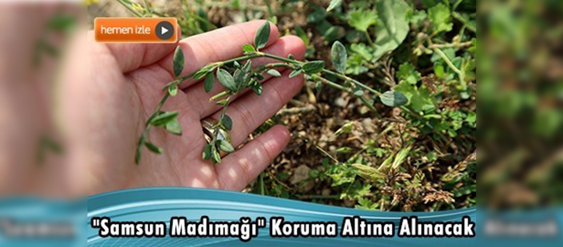 Madımakta Devamlılık Sağlanması için Çalışma Başlatıldı