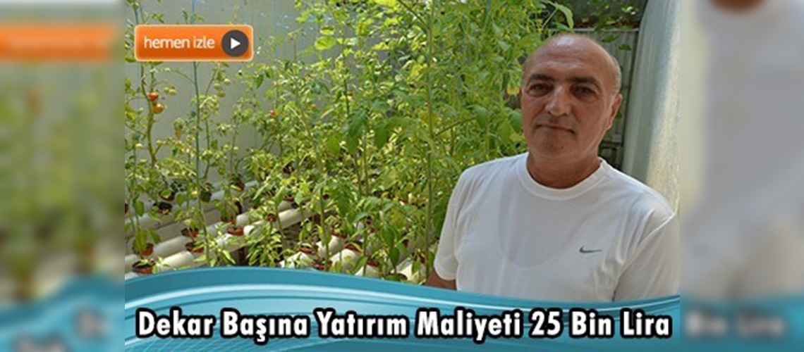 Solucan gübresi ile topraksız organik tarım