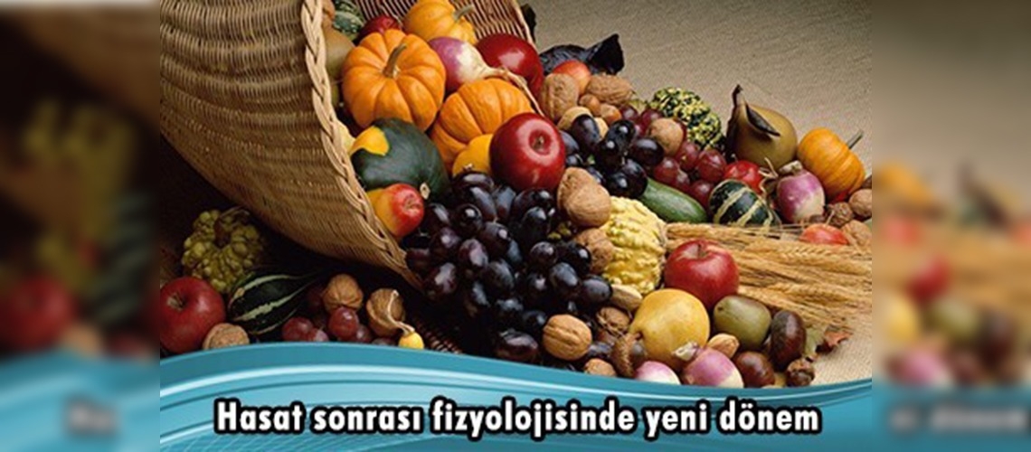 Hasat sonrası fizyolojisinde yeni dönem
