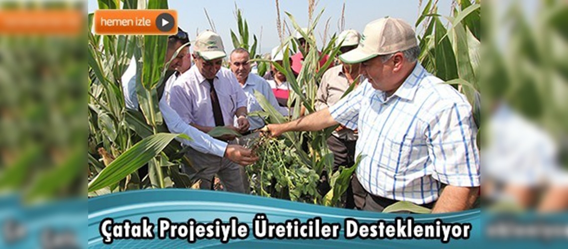 Osmaniye'de ÇATAK Tarla Günü